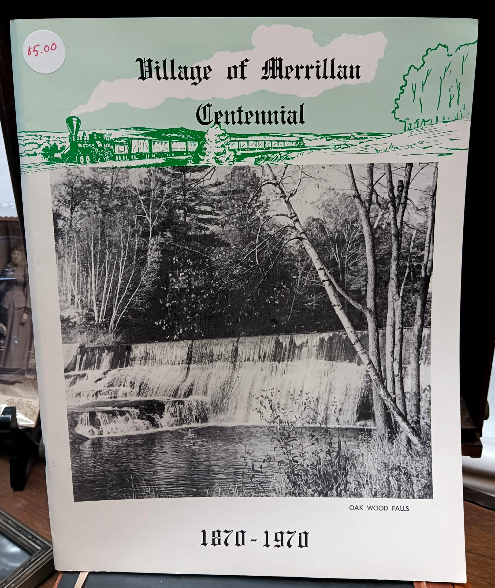 Village of Merrillan Centennial Book