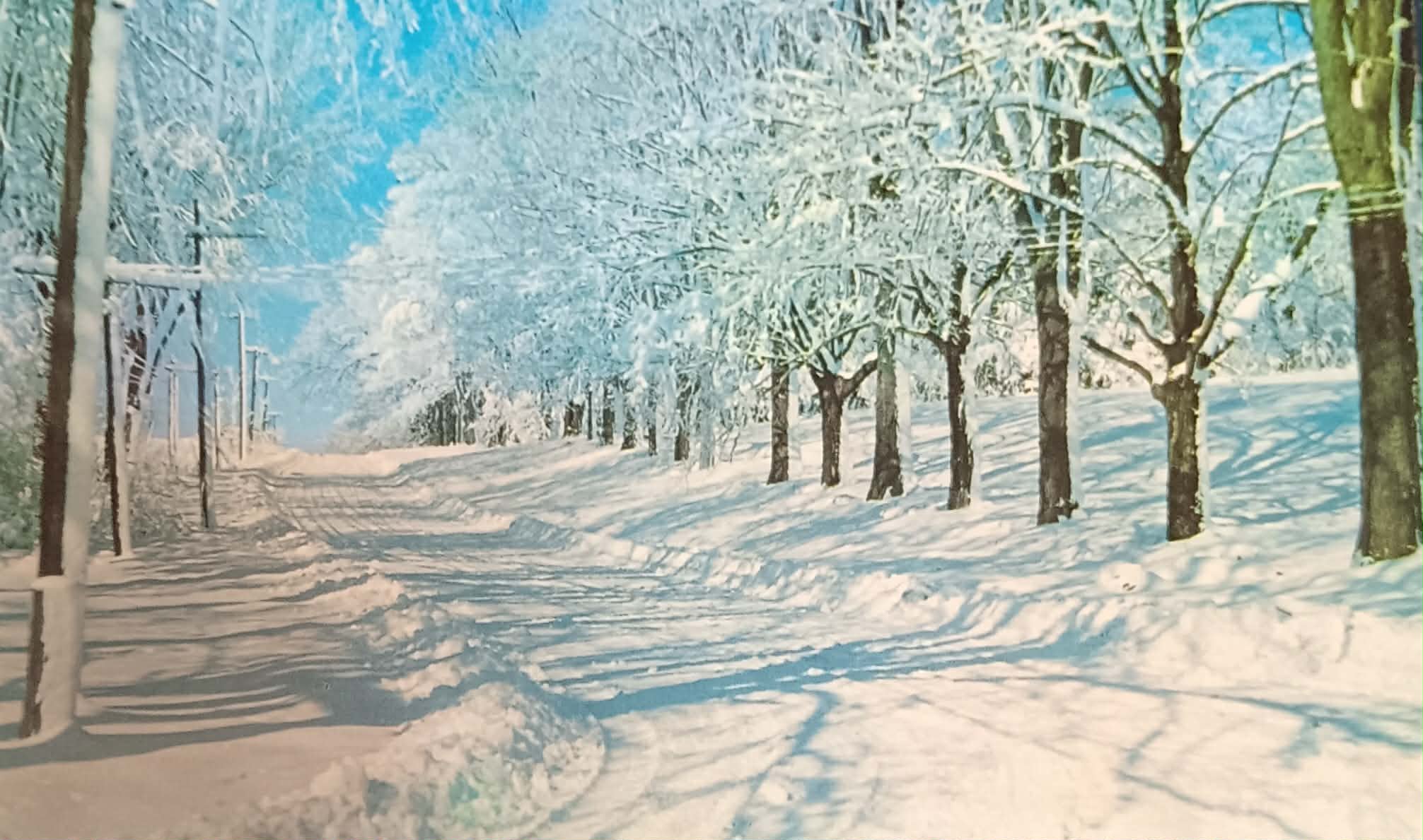 Rural Black River Falls Winter Scene Post Card